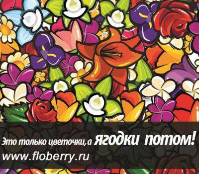 Любое украшение цветами: от свадебного букета до концертного зала. в Москве