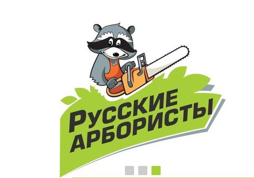 "Русские Арбористы" - арбористика, удаление и обрезка деревьев в Москве