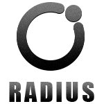 Щебень-RADIUS в Москве